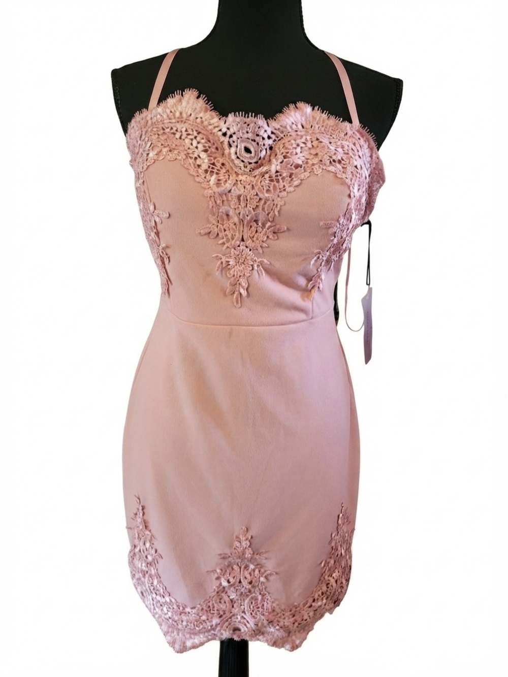 Haute Monde Dusty Rose Lace Appliqué Mini Dress